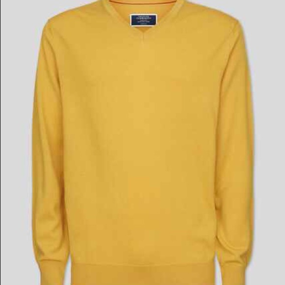 {NWT} Charles Tyrwhitt Merino V-Neck Jumper